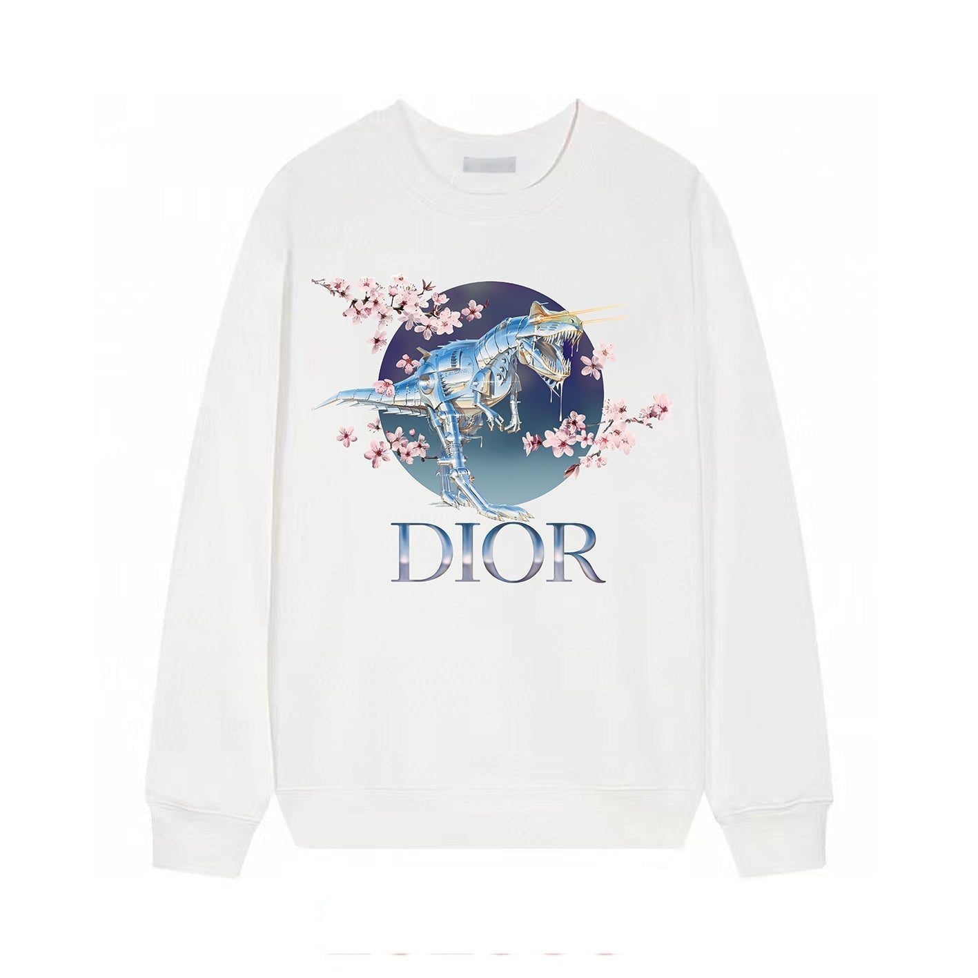 DINOSAUR Print Sweatshirt